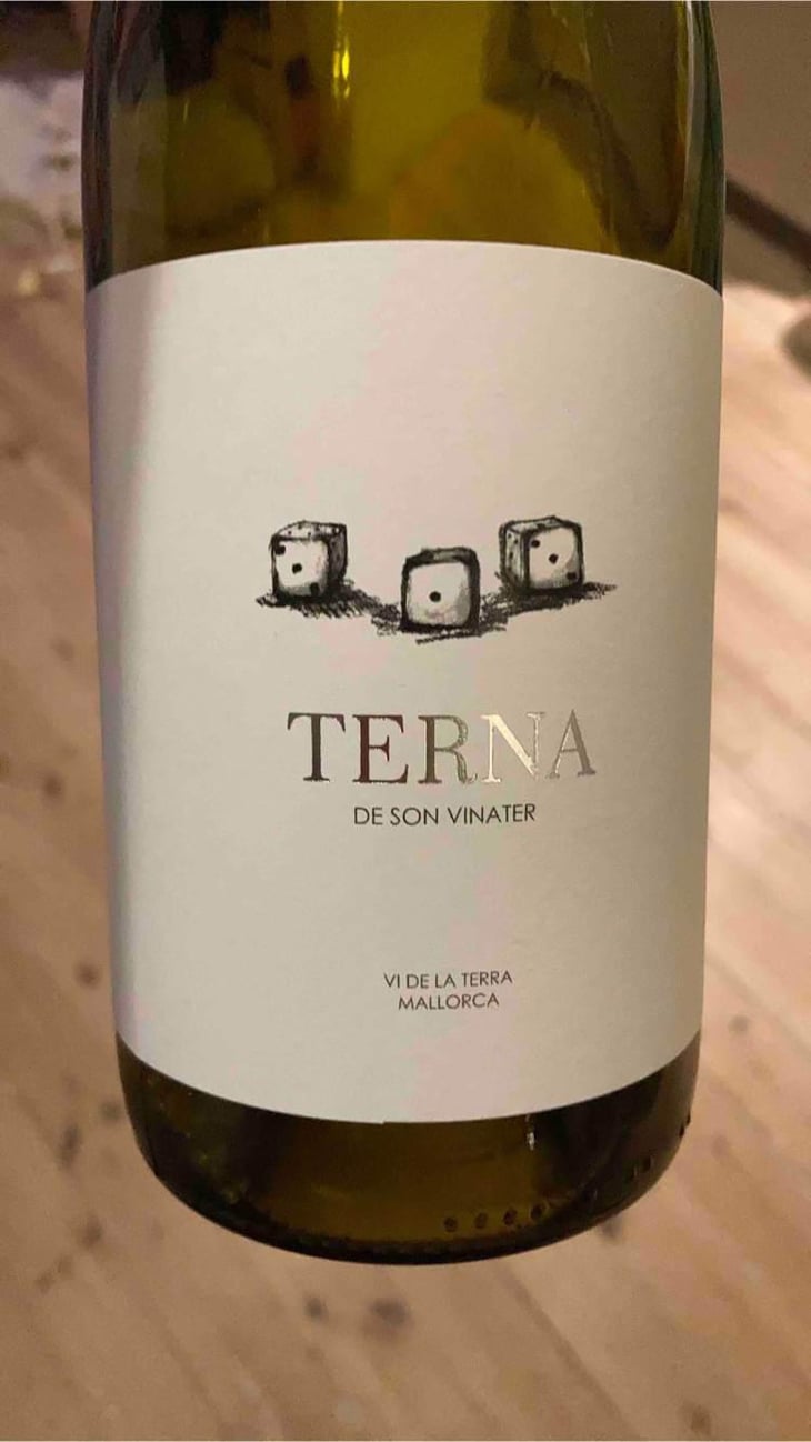Terna - Mesquida Mora - Jaume Mesquida Mora -2021
