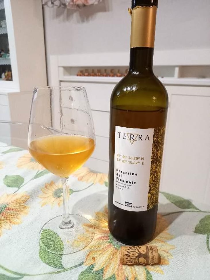 Terra Bianco - Agricola Agricola Macciocca - Mario Macciocca 