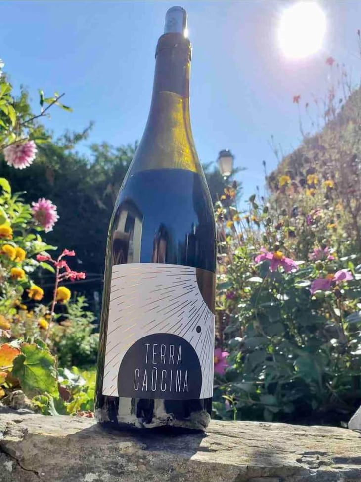 Terra Caucina - Clos le Joncal - Famille Tatard -2020
