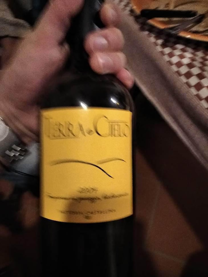 Terra e Cielo (old label) - Fattoria Castellina - Francesco Montomoli 