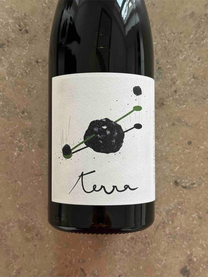 Terra - Thibaud Capellaro - Thibaud Capellaro -2019