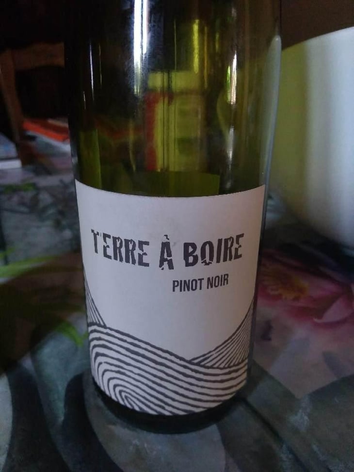 Terre À Boire - Léo Dirringer - Léo Dirringer 
