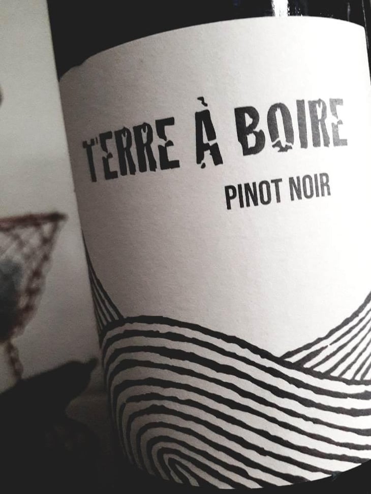 Terre À Boire - Léo Dirringer - Léo Dirringer 