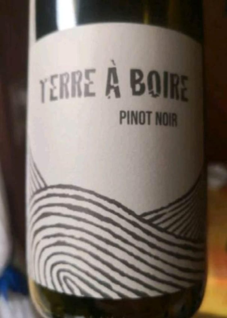 Terre À Boire - Léo Dirringer - Léo Dirringer 