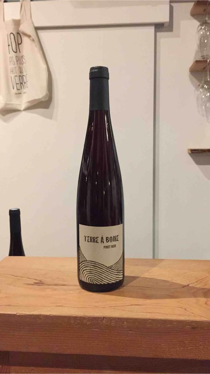 Terre À Boire - Léo Dirringer - Léo Dirringer 