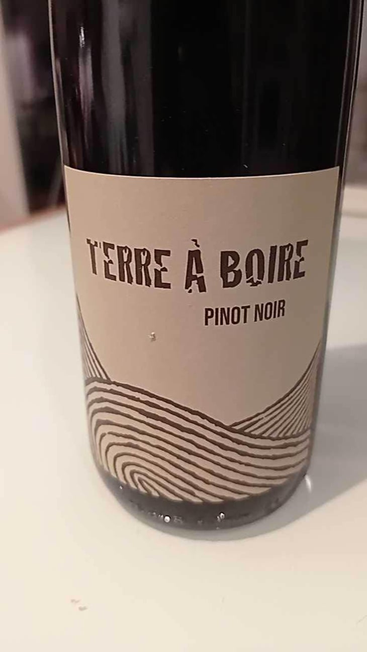 Terre À Boire - Léo Dirringer - Léo Dirringer 