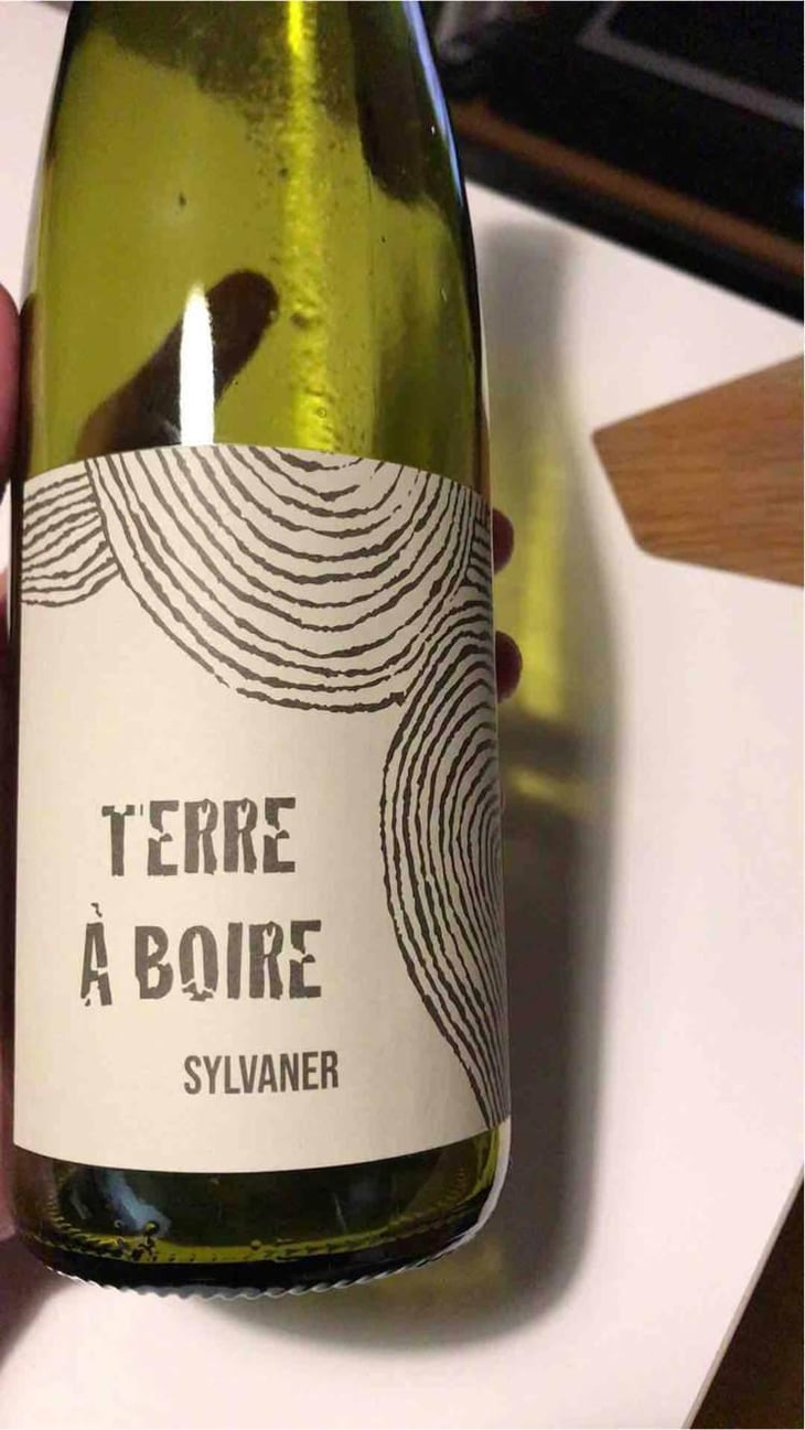 Terre À Boire - Léo Dirringer - Léo Dirringer 