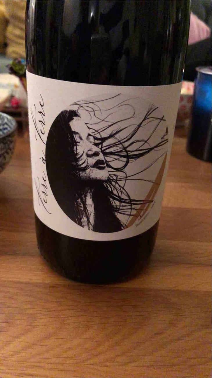 Terre à Terre - Domaine Laura Aillaud - Laura Aillaud 