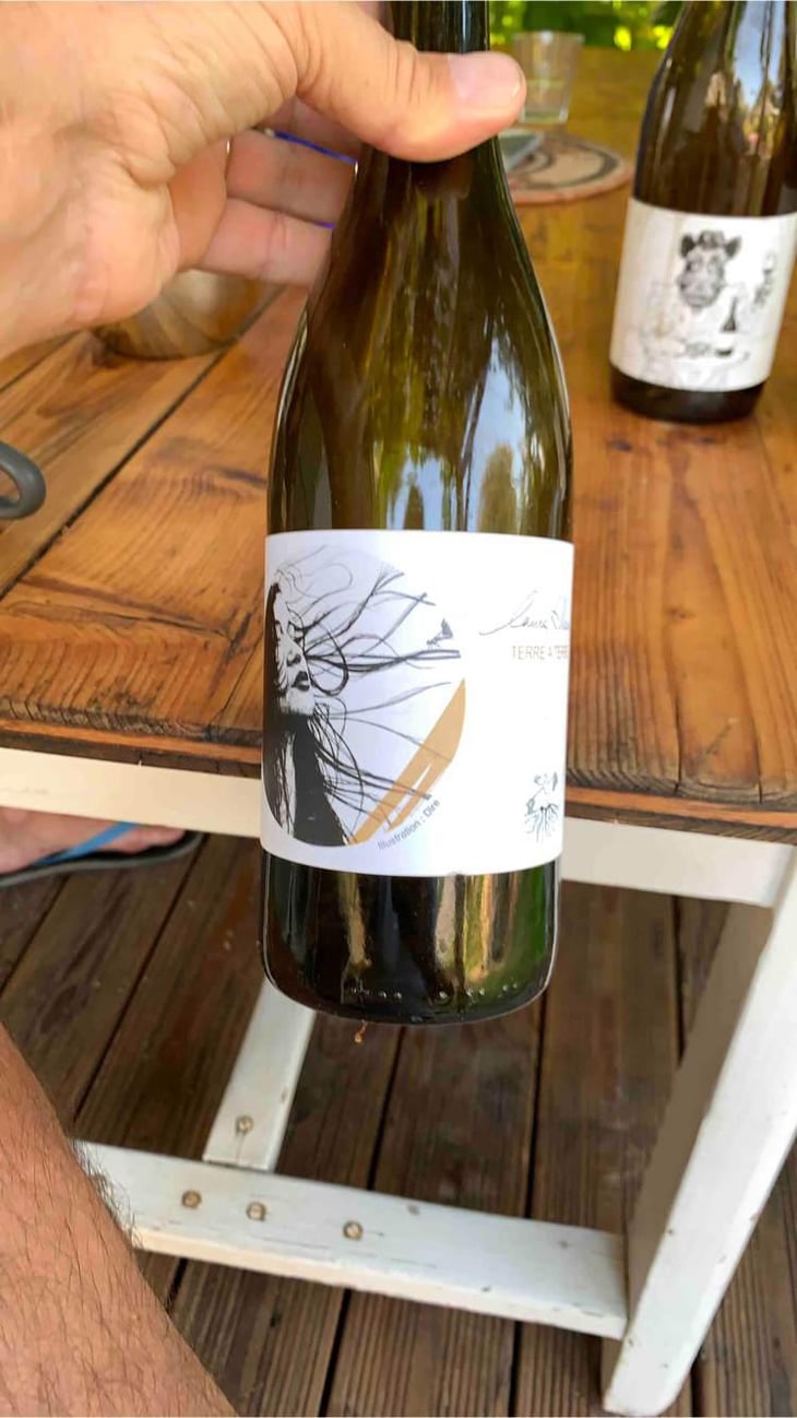 Terre à Terre - Domaine Laura Aillaud - Laura Aillaud 