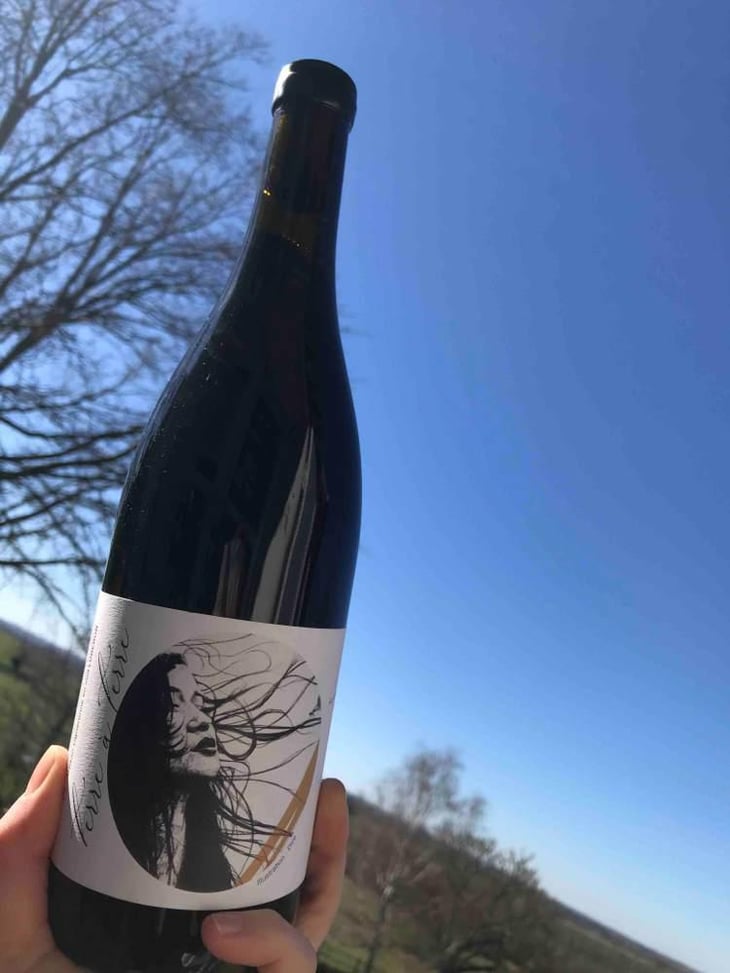 Terre à Terre - Domaine Laura Aillaud - Laura Aillaud 