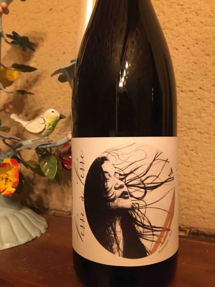 Terre à Terre - Domaine Laura Aillaud - Laura Aillaud 