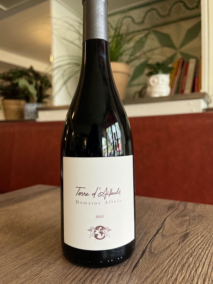 Terre D'ailleuls - Alloïs - François Busi -2021