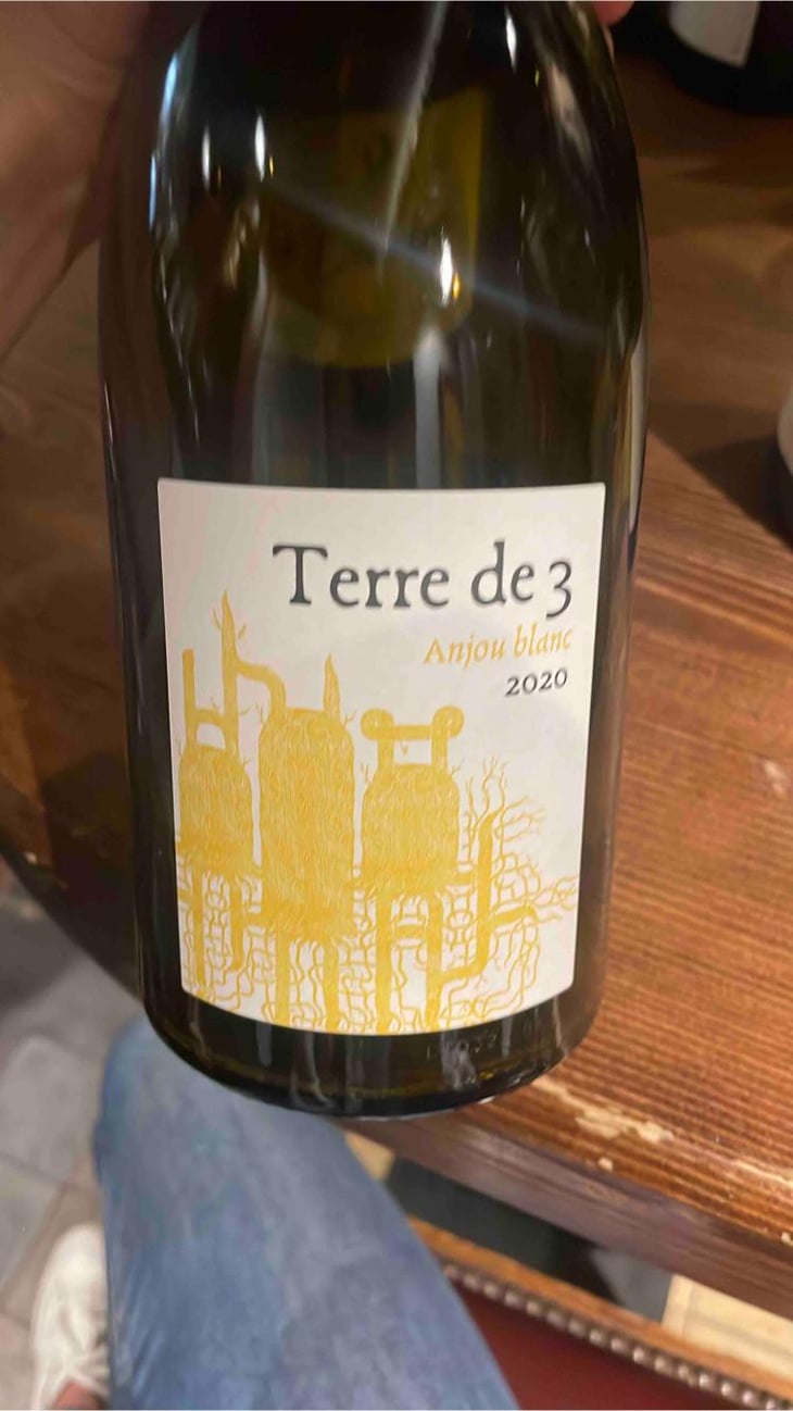 Terre De 3 - Terra Vita Vinum - Bénédicte & Luc Briand -2018