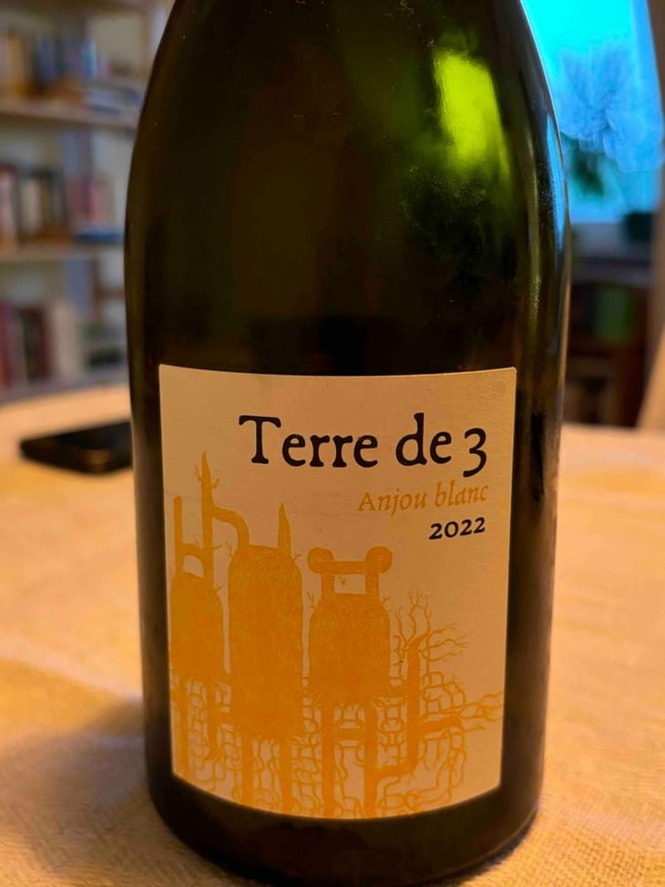 Terre De 3 - Terra Vita Vinum - Bénédicte & Luc Briand -2018