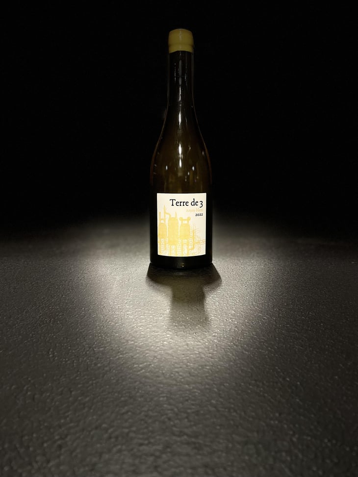 Terre De 3 - Terra Vita Vinum - Bénédicte & Luc Briand -2018