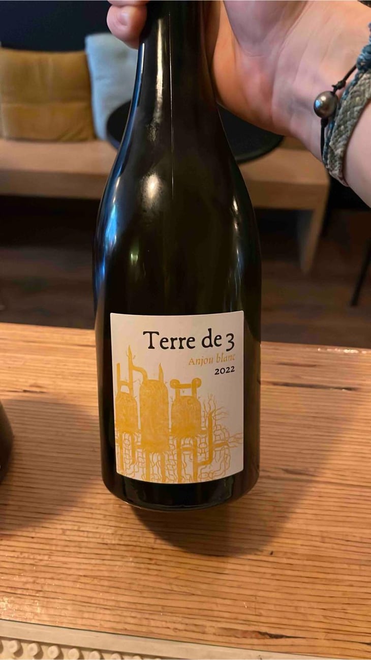 Terre De 3 - Terra Vita Vinum - Bénédicte & Luc Briand -2018
