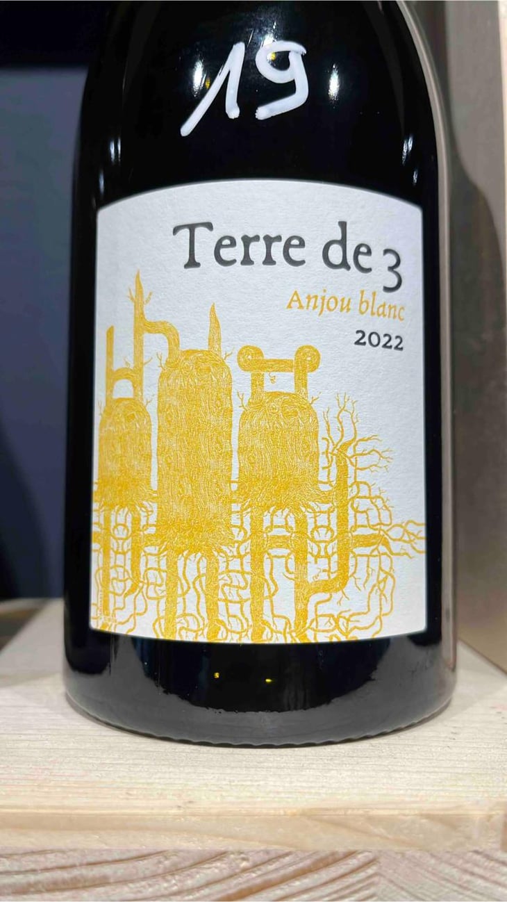 Terre De 3 - Terra Vita Vinum - Bénédicte & Luc Briand -2018