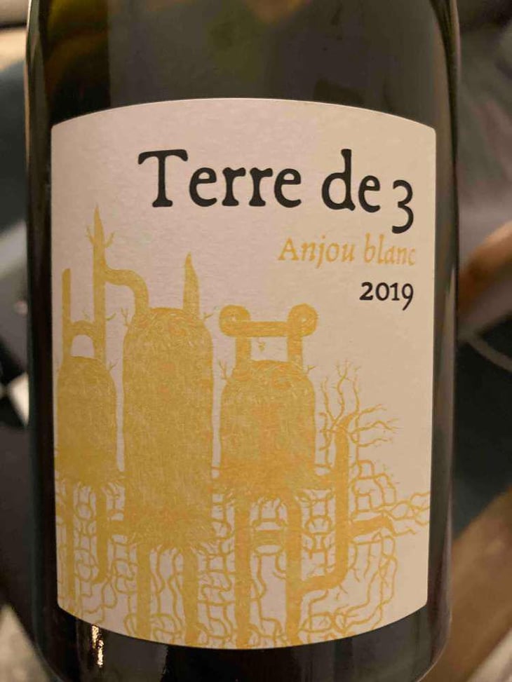 Terre De 3 - Terra Vita Vinum - Bénédicte & Luc Briand -2018