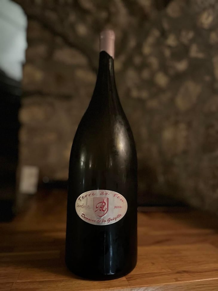 Terre de Feu - Domaine de la Grézille - Bruno Paillocher -2010