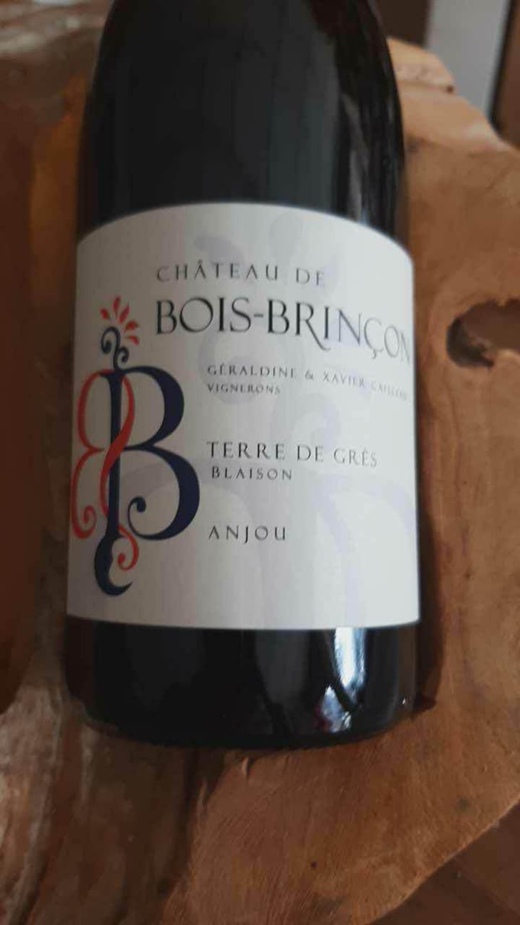 Terre de grès - Bois-Brinçon - Xavier & Géraldine Cailleau 