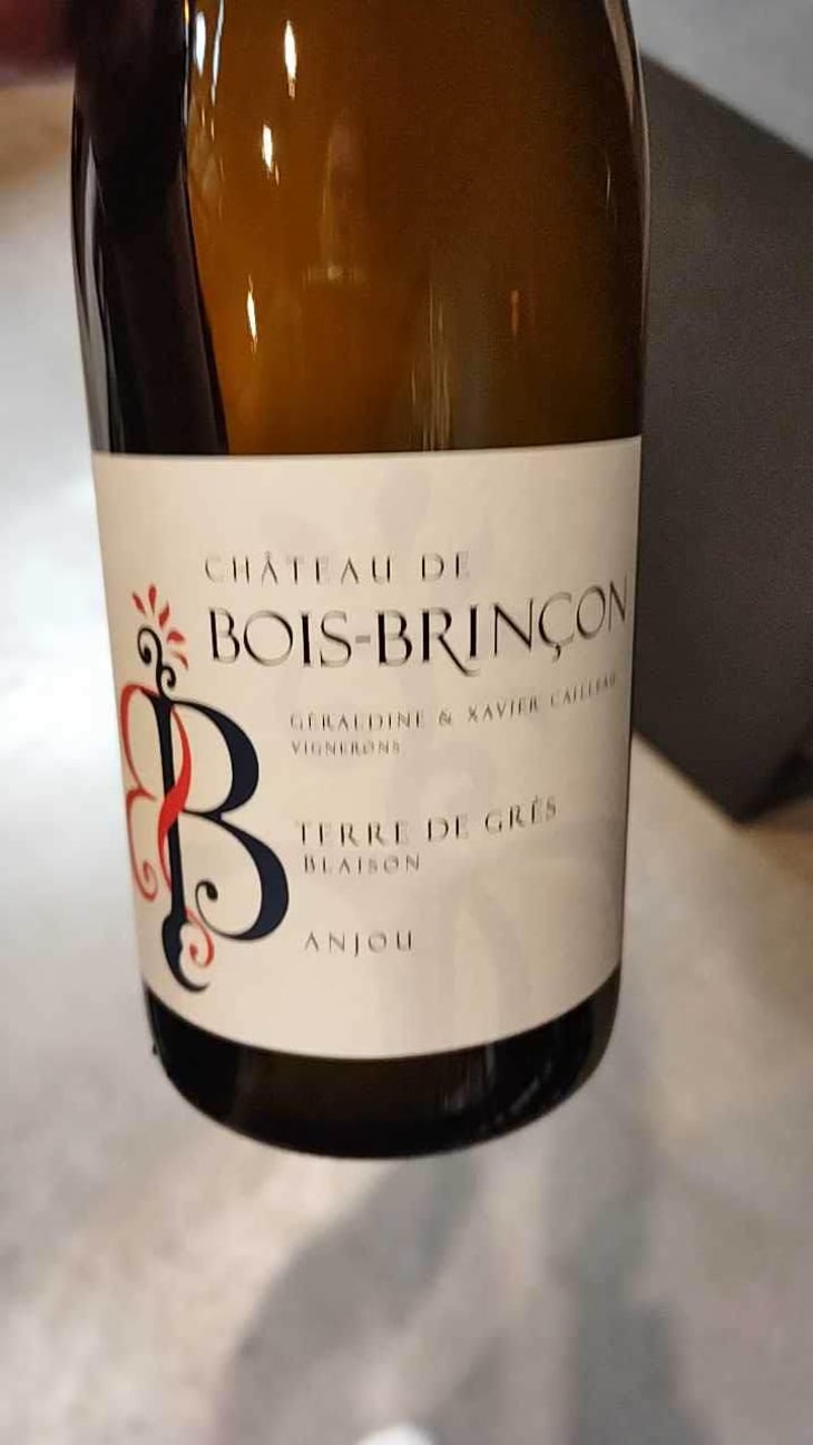 Terre de grès - Bois-Brinçon - Xavier & Géraldine Cailleau 