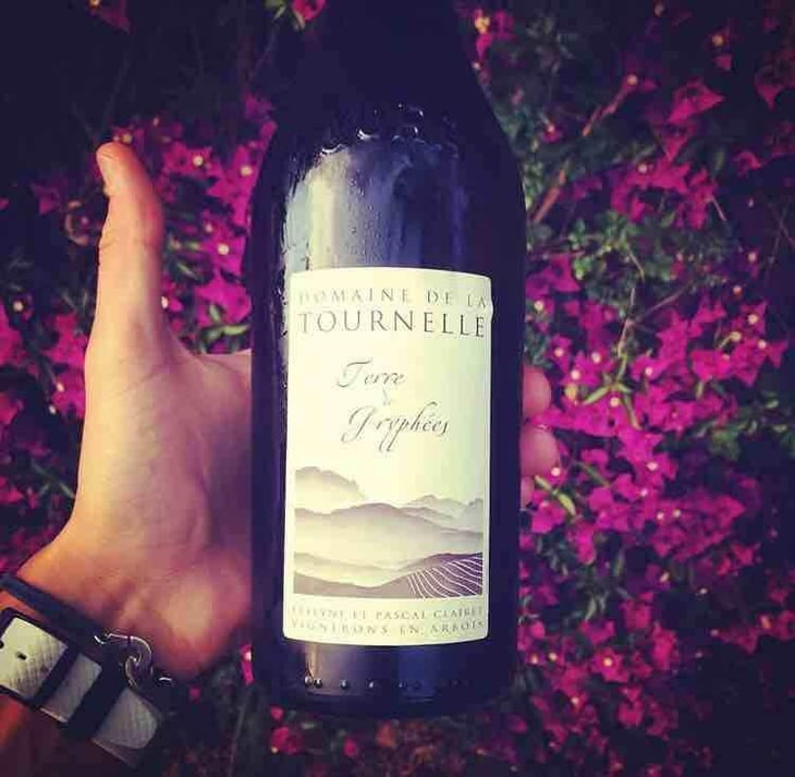 Terre de Gryphées - Domaine de la Tournelle - Evelyne Clairet 