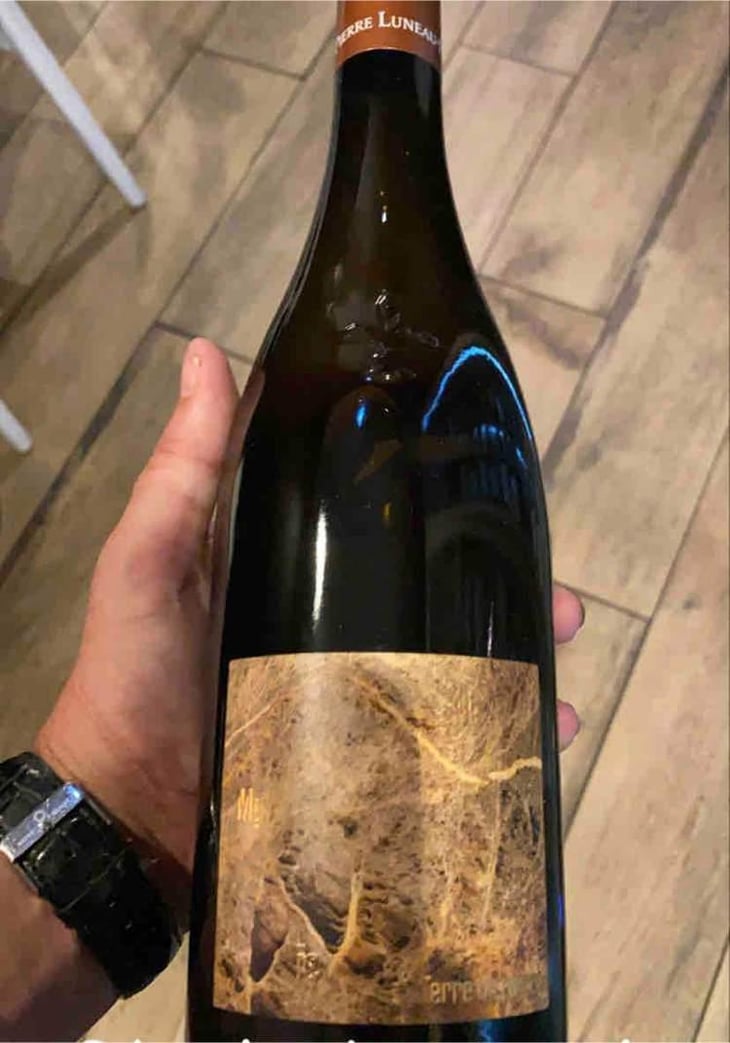 Terre De pierre - Domaine Pierre Luneau-Papin - Pierre-Marie & Marie Luneau 