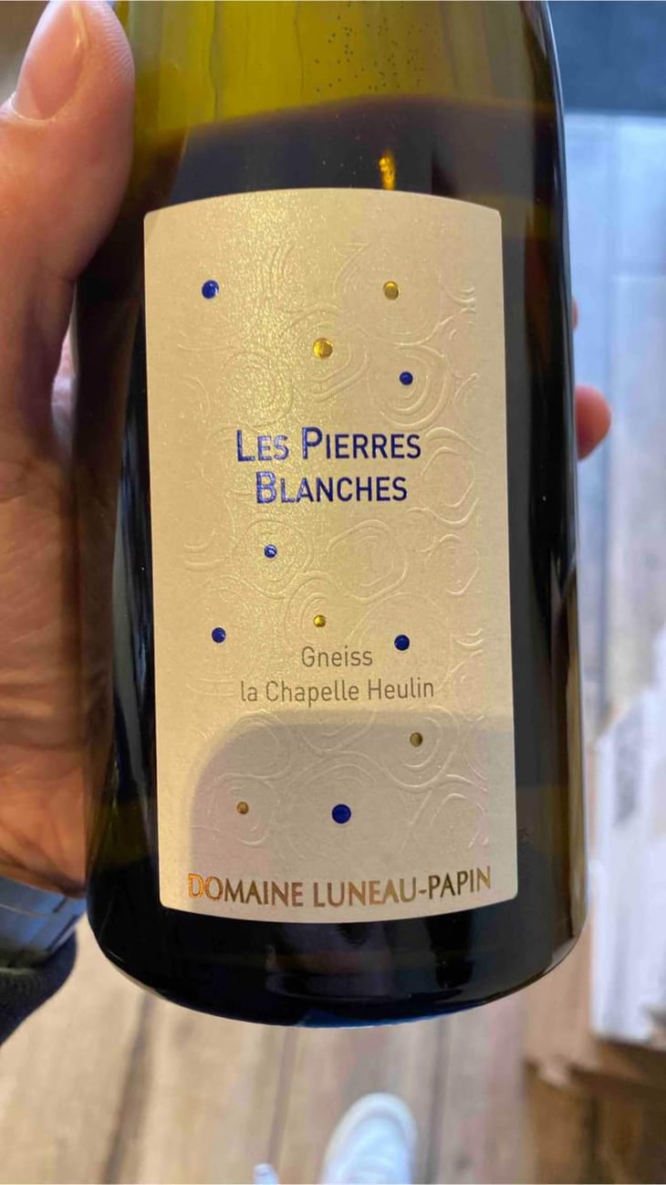 Terre De pierre - Domaine Pierre Luneau-Papin - Pierre-Marie & Marie Luneau 