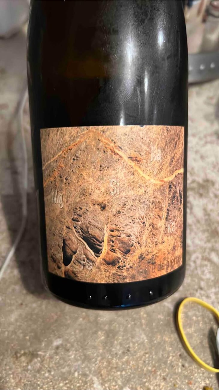 Terre De pierre - Domaine Pierre Luneau-Papin - Pierre-Marie & Marie Luneau 