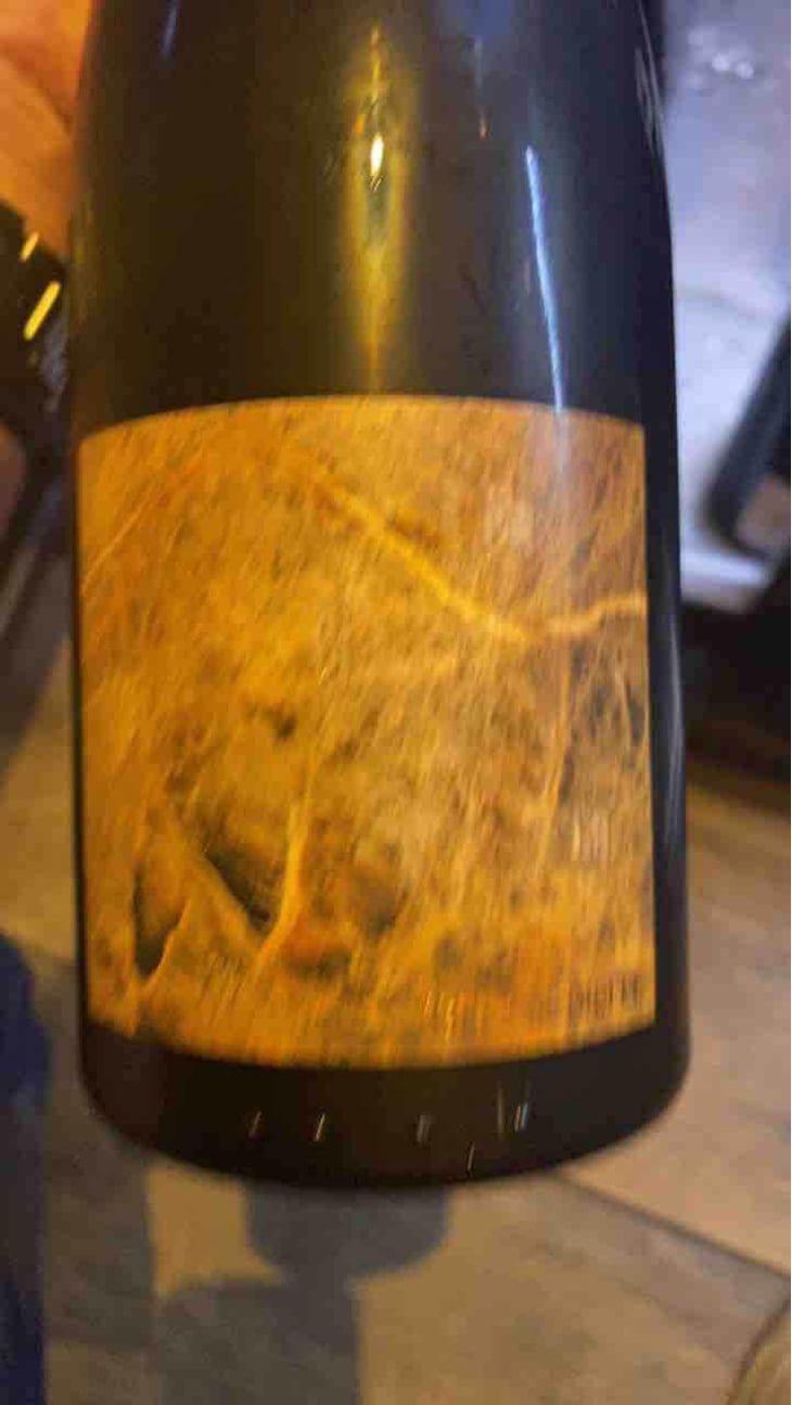 Terre De pierre - Domaine Pierre Luneau-Papin - Pierre-Marie & Marie Luneau 