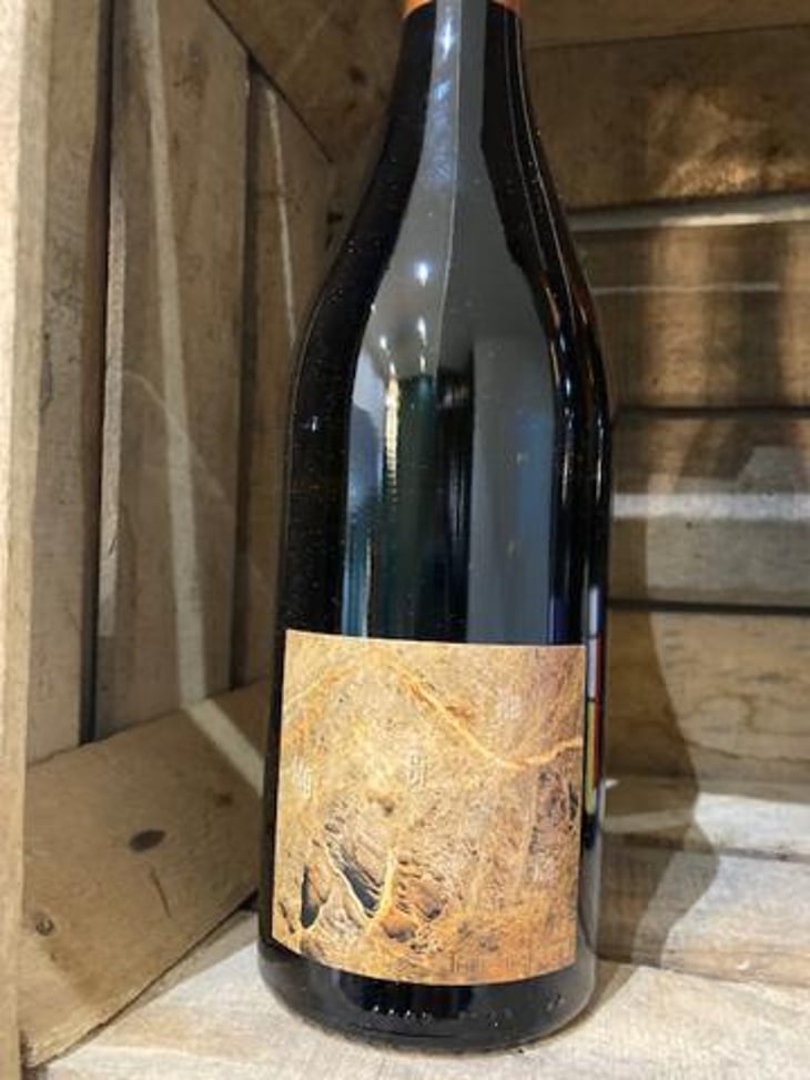 Terre De pierre - Domaine Pierre Luneau-Papin - Pierre-Marie & Marie Luneau 