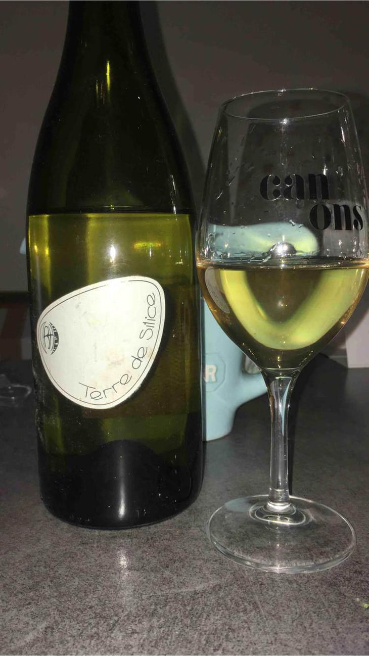 Terre de Silice - Clos Belle Croix - Reynald Héaulé 
