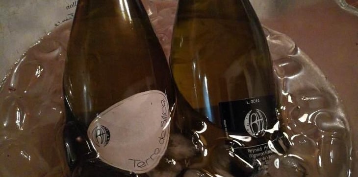 Terre de Silice - Clos Belle Croix - Reynald Héaulé 