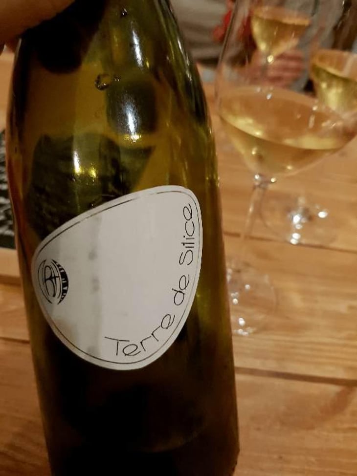 Terre de Silice - Clos Belle Croix - Reynald Héaulé 