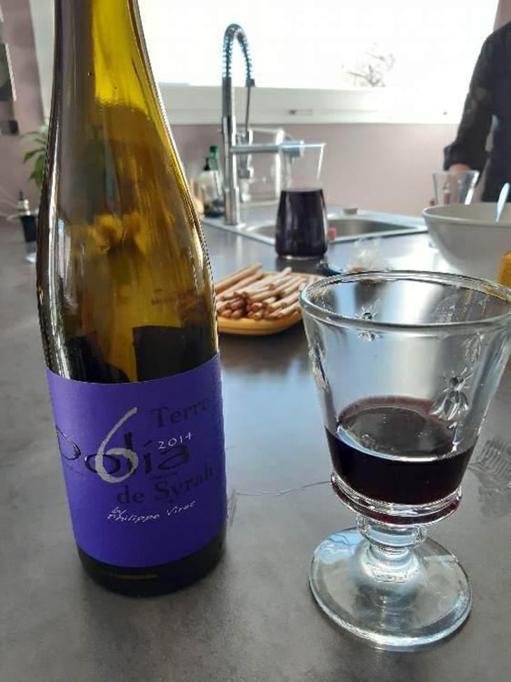 Dolia Terre de Syrah - Viret - Philippe & Alain Viret 