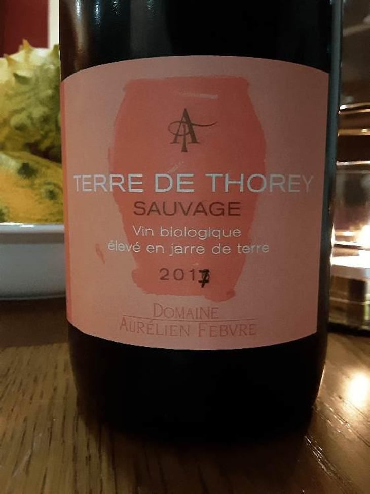 Terre De Thorey Sauvage - Domaine Aurélien Febvre - Aurélien Febvre 
