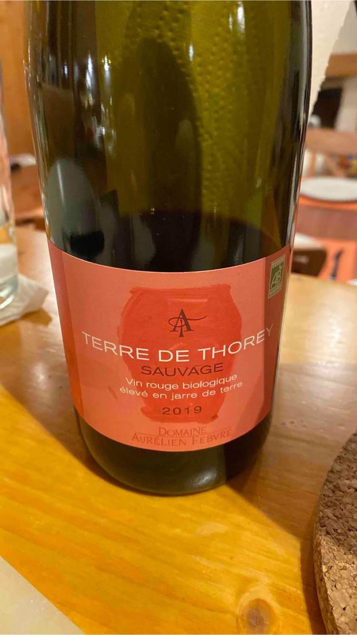 Terre De Thorey Sauvage - Domaine Aurélien Febvre - Aurélien Febvre 