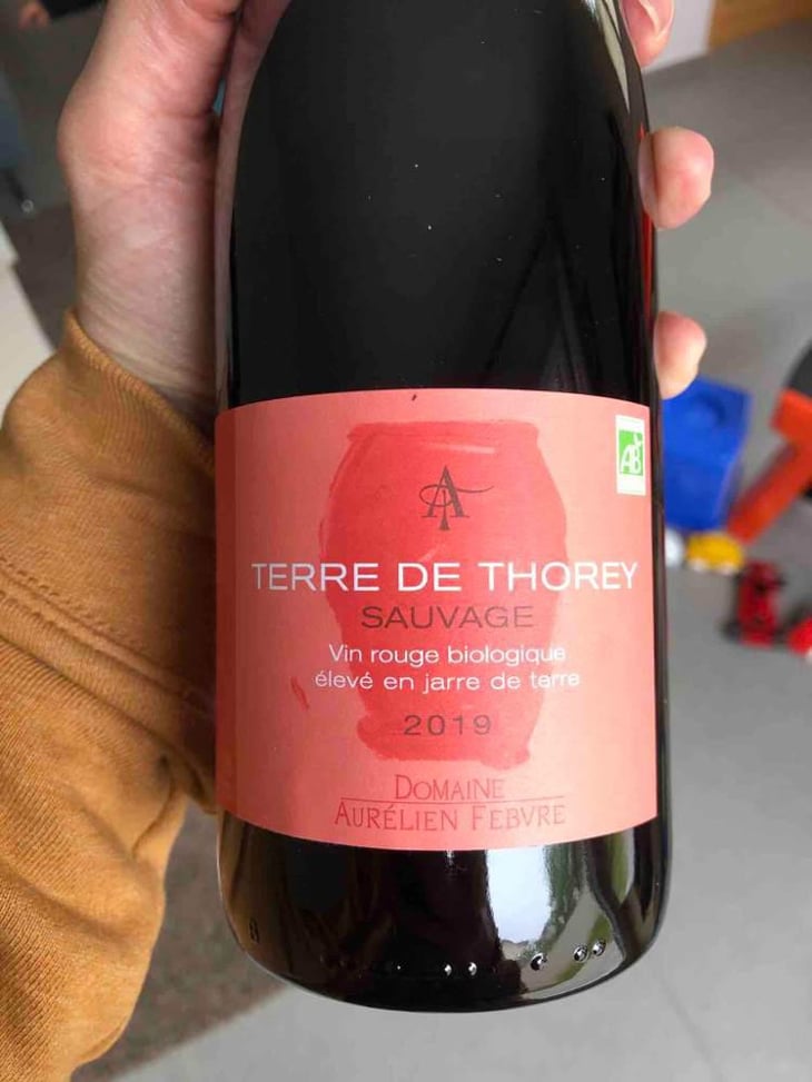 Terre De Thorey Sauvage - Domaine Aurélien Febvre - Aurélien Febvre 
