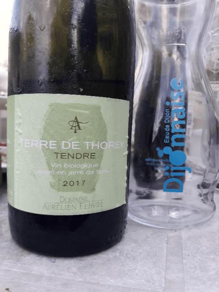 Terre de Thorey Tendre - Domaine Aurélien Febvre - Aurélien Febvre -2018