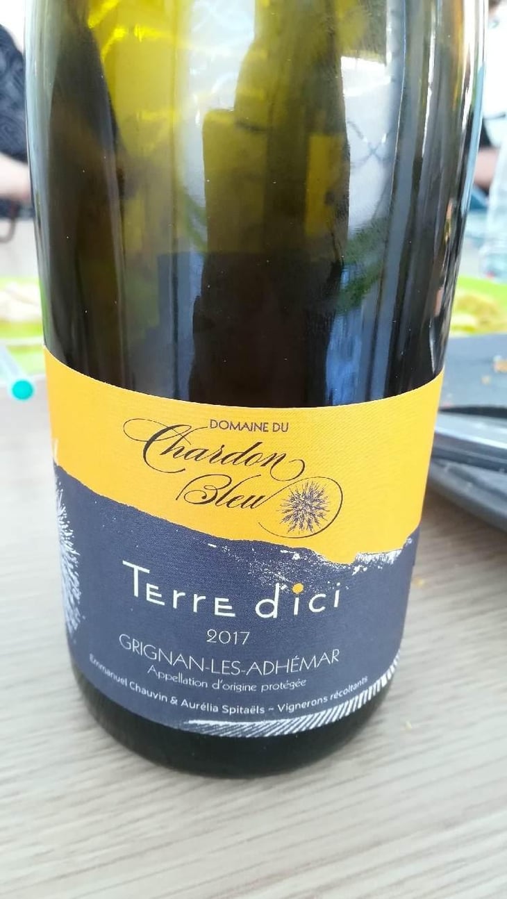 Terre D'ici - Chardon Bleu - Aurelia Spitaels 