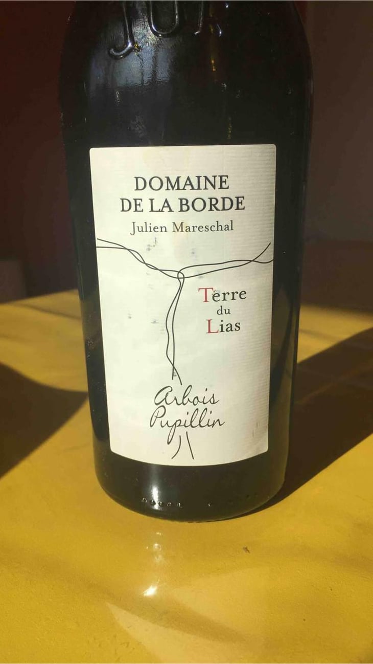 Terre du Lias - Domaine de la Borde - Julien Mareschal 