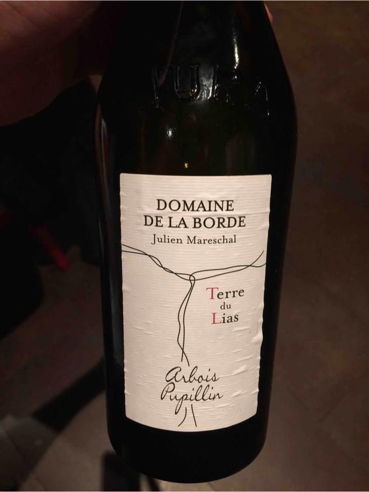 Terre du Lias - Domaine de la Borde - Julien Mareschal 
