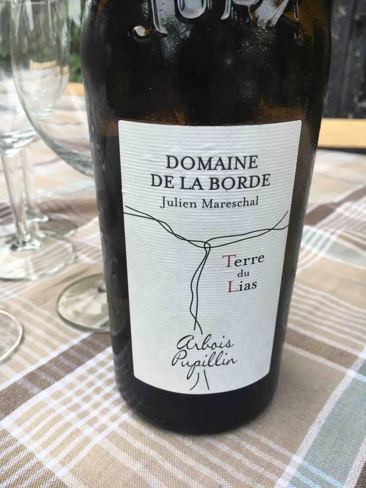 Terre du Lias - Domaine de la Borde - Julien Mareschal 