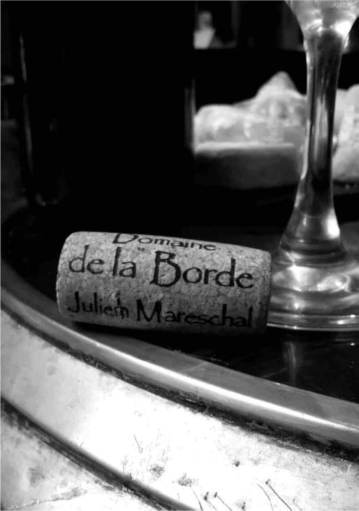 Terre du Lias - Domaine de la Borde - Julien Mareschal 