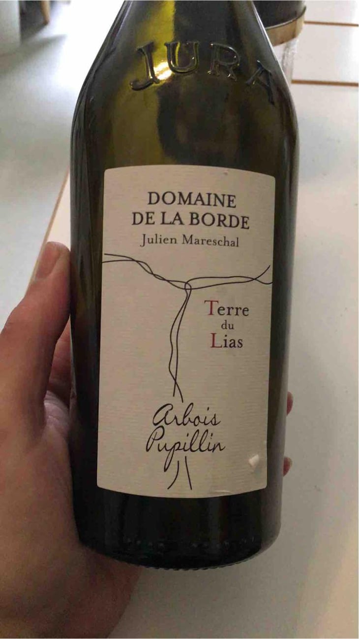 Terre du Lias - Domaine de la Borde - Julien Mareschal 