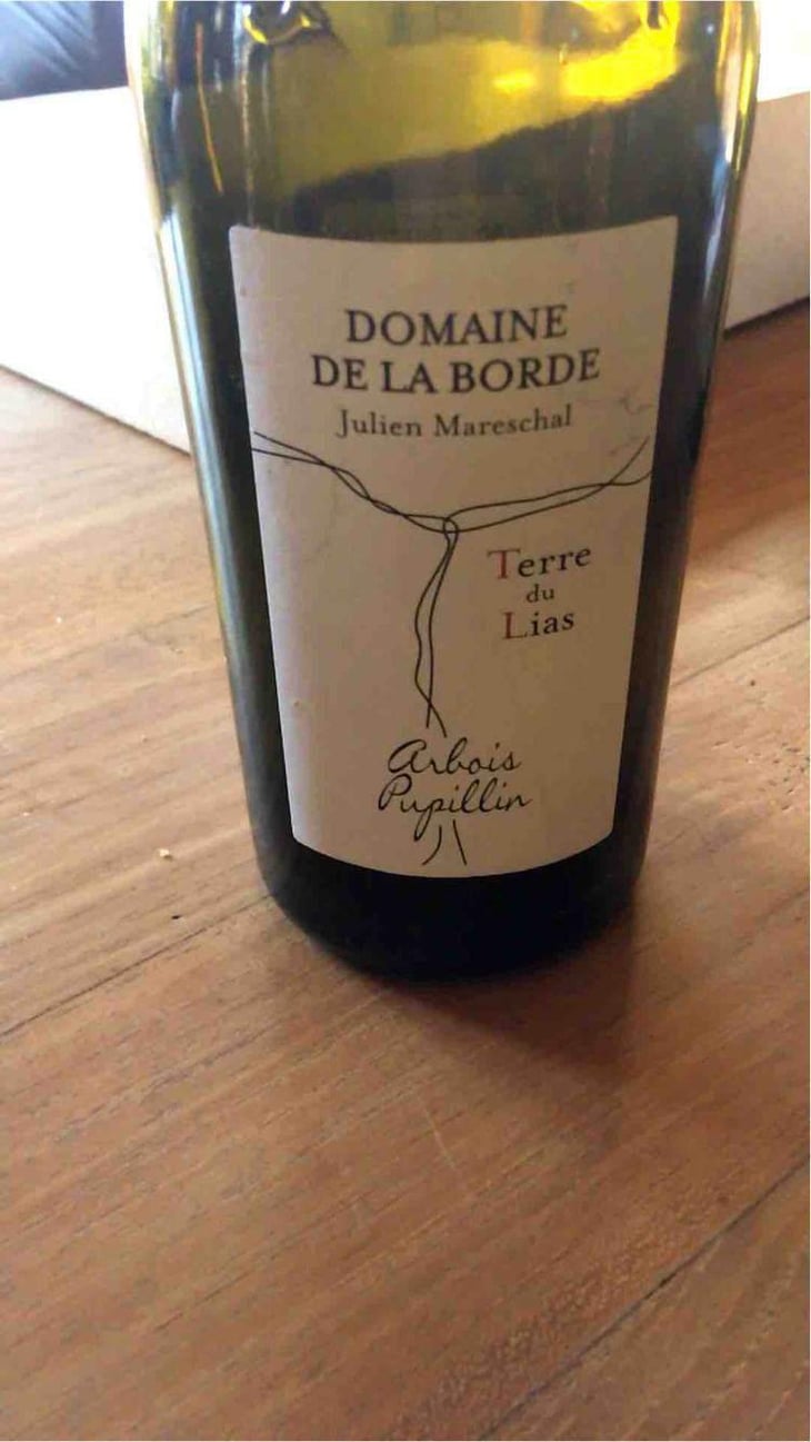 Terre du Lias - Domaine de la Borde - Julien Mareschal 