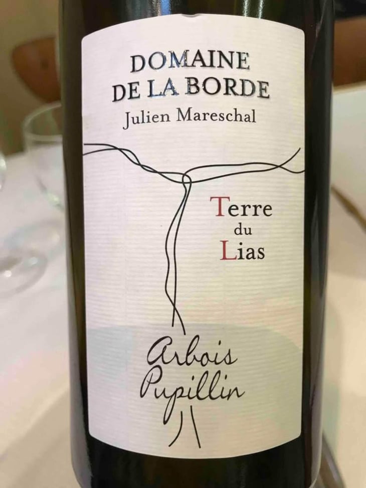 Terre du Lias - Domaine de la Borde - Julien Mareschal 