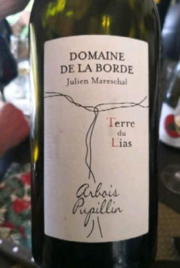 Terre du Lias - Domaine de la Borde - Julien Mareschal 