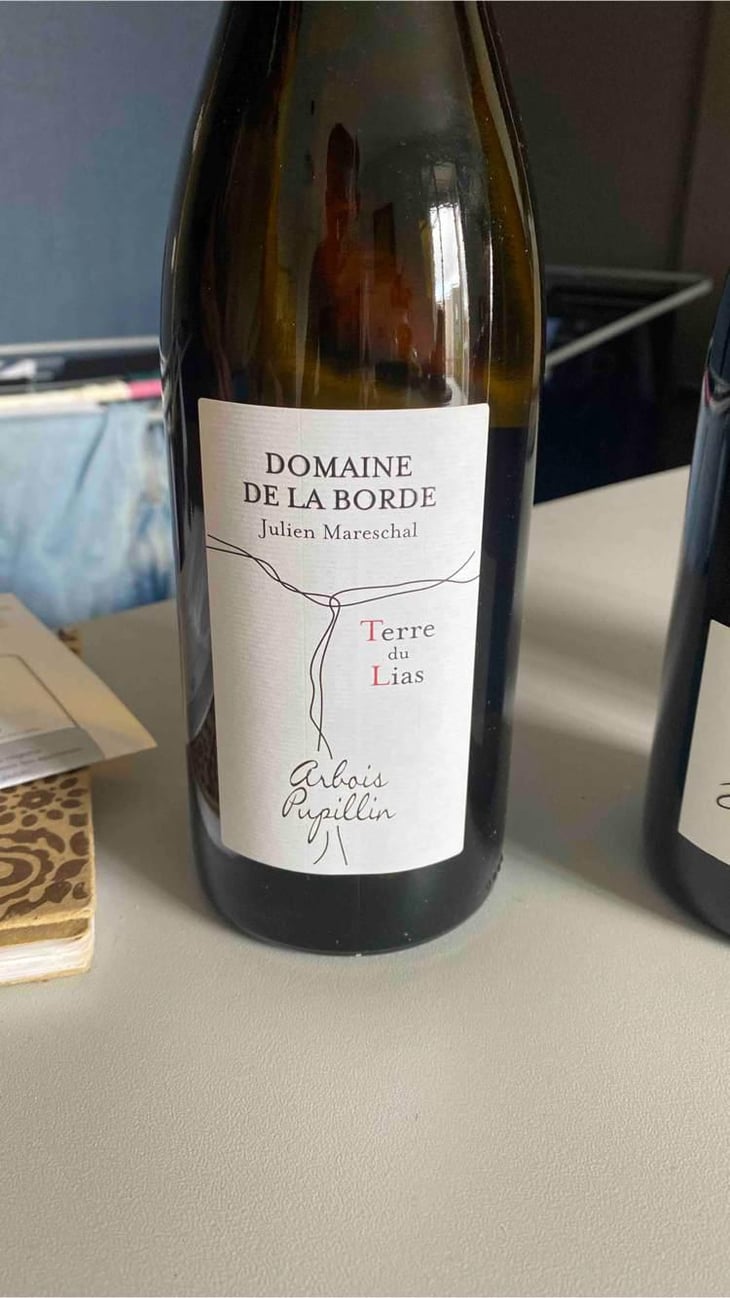 Terre du Lias - Domaine de la Borde - Julien Mareschal 
