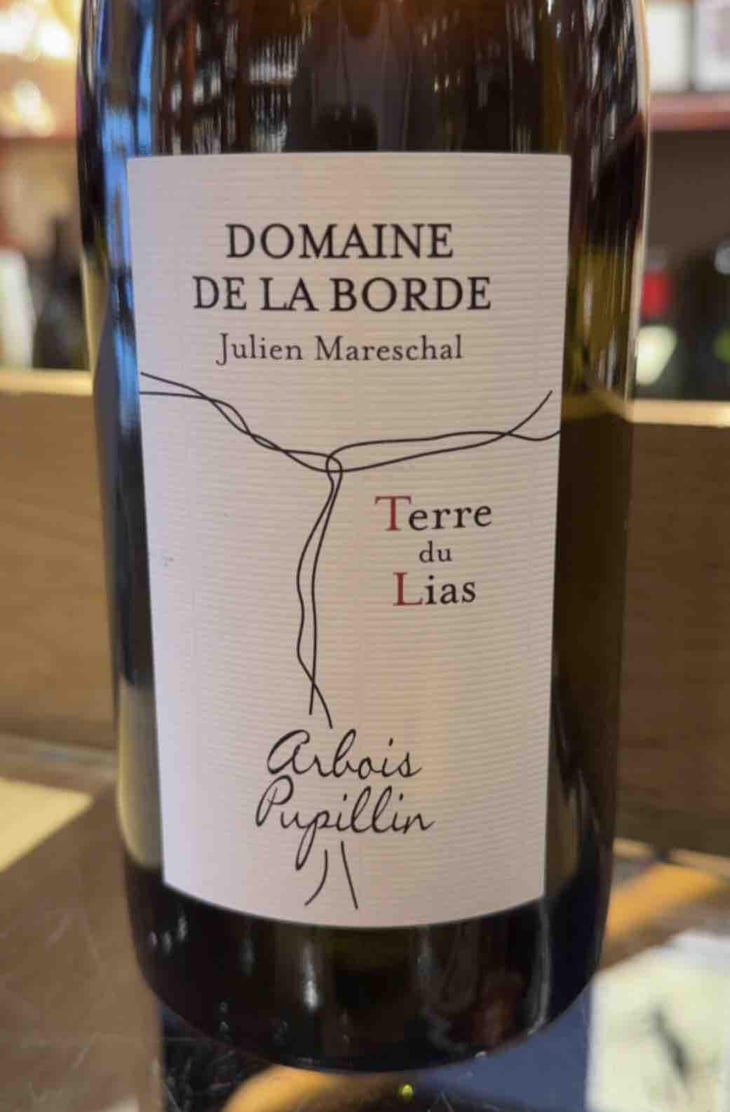 Terre du Lias - Domaine de la Borde - Julien Mareschal 